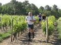 Trail des vignes de Marigny